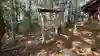 外川神社の手水舎
