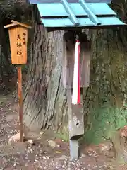 泉岡一言神社(福井県)