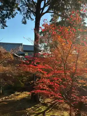 東福禅寺（東福寺）(京都府)