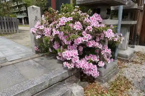 與杼神社の自然