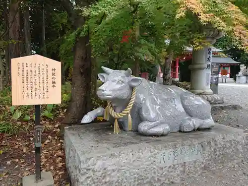 冨士御室浅間神社の狛犬