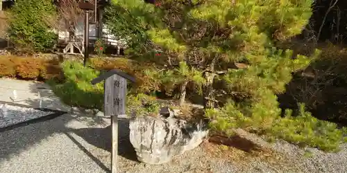 出雲大神宮の庭園