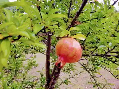 鏡忍寺(千葉県)