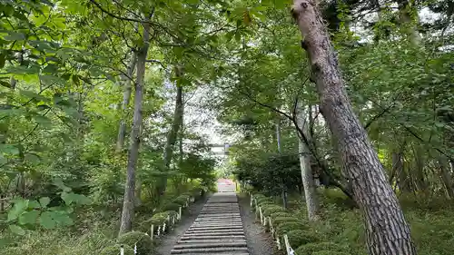 天津神明宮(千葉県)