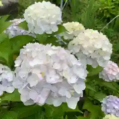 豊景神社の自然