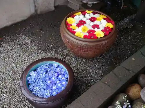 上尾御嶽神社の手水