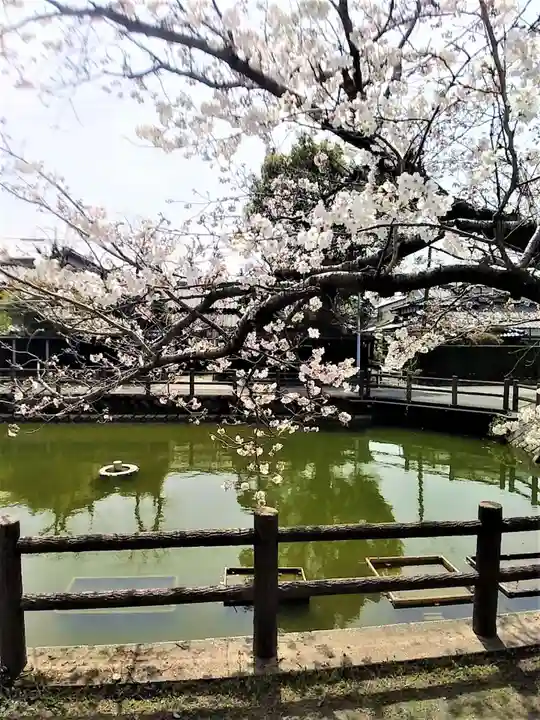福島八幡宮の庭園