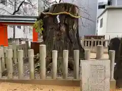 生田神社(兵庫県)