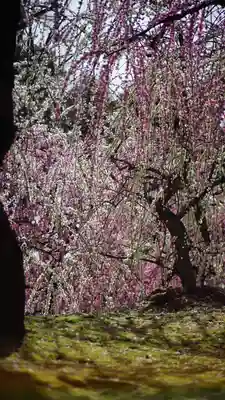 城南宮(京都府)