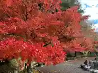 石道寺の{uncategorized: "未分類", other: "その他", undefined: "問題あり", building: "その他建物", grave: "お墓", sacred_gate: "鳥居", guardian: "狛犬", statue: "像", buddha: "仏像", history: "歴史", nature: "自然", garden: "庭園", animal: "動物", pagoda: "塔", temizu: "手水舎", mountain_gate: "山門・神門", sanctuary: "本殿・本堂", subordinate: "末社・摂社", art: "芸術", scenery: "景色", jizo: "地蔵", ema: "絵馬", goshuin: "御朱印", omikuji: "おみくじ", items: "授与品その他", amulet: "お守り", goshuincho: "御朱印帳", eats: "食事", festival: "お祭り", votive_dance: "神楽", shichigosan: "七五三参", wedding: "結婚式", experience: "体験その他", initially: "初詣", around: "周辺", anti_infection: "感染症対策"}
