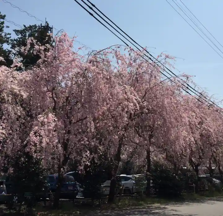 椿大神社の自然