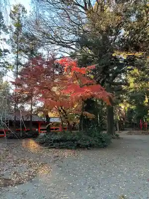 冠稲荷神社(群馬県)