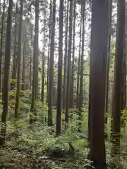 戸隠神社宝光社の自然