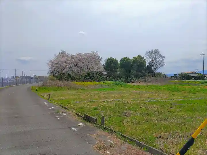 藤ヶ瀬神社の自然