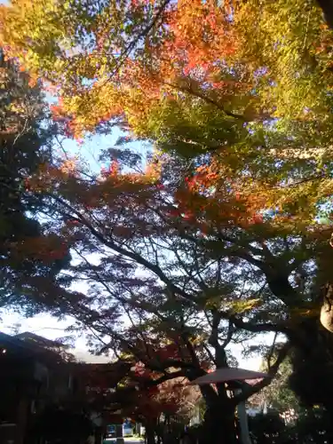 鎌倉宮の庭園