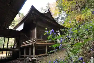 天神社(愛媛県)