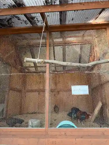 大甕神社(茨城県)