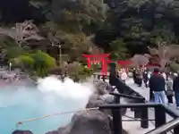 白龍稲荷大神(大分県)