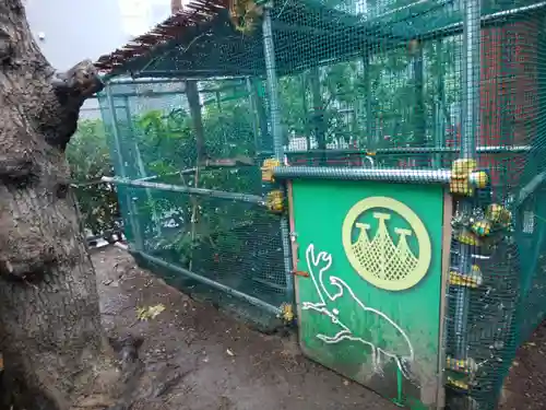 浅草神社(東京都)