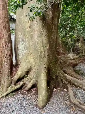 祓戸神社(新潟県)
