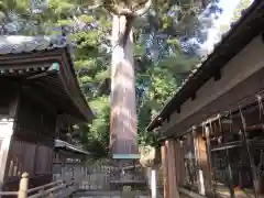 事任八幡宮の自然