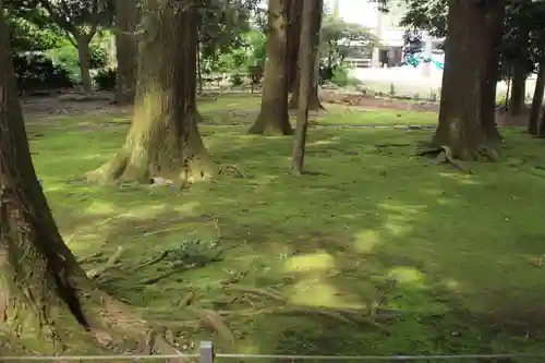 都農神社の自然