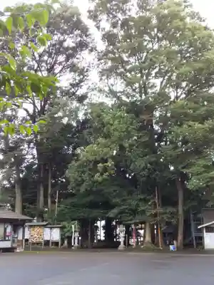 金ヶ作熊野神社(千葉県)