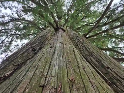 戸隠神社中社(長野県)