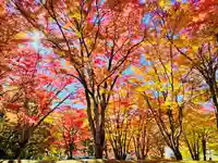 土津神社|こどもと出世の神さま(福島県)