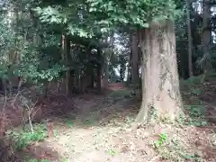 八坂神社/富士浅間神社の周辺