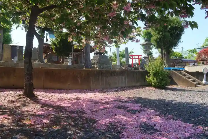 熊野福藏神社の景色