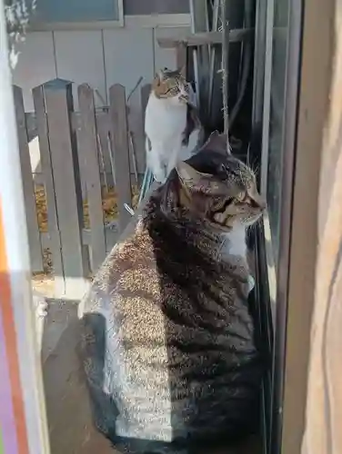 阿邪訶根神社(福島県)