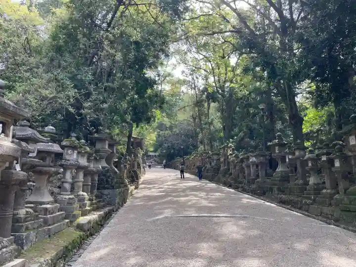 春日大社(奈良県)