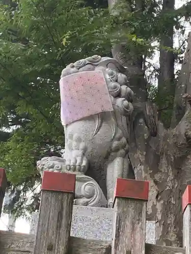 麻賀多神社の狛犬