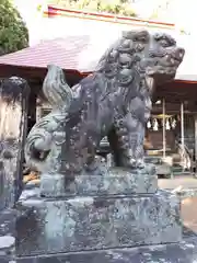 幸神社の狛犬
