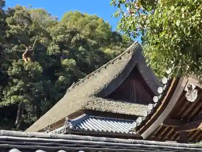 摩尼院（金剛寺子院）(大阪府)