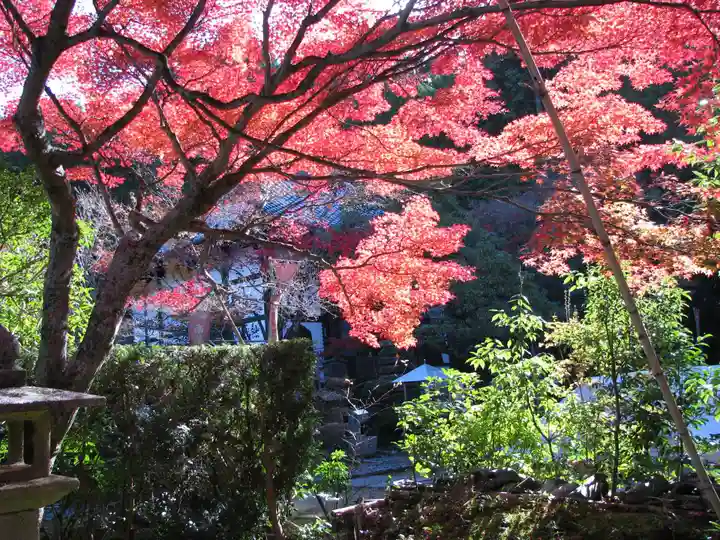 安養寺のその他建物
