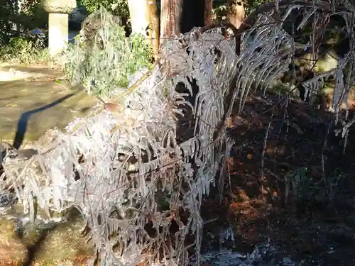 大前神社(栃木県)