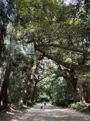 鹿島神宮(茨城県)