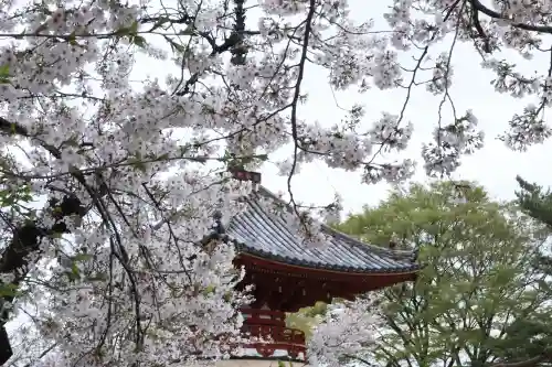 喜多院の{uncategorized: "未分類", other: "その他", undefined: "問題あり", building: "その他建物", grave: "お墓", sacred_gate: "鳥居", guardian: "狛犬", statue: "像", buddha: "仏像", history: "歴史", nature: "自然", garden: "庭園", animal: "動物", pagoda: "塔", temizu: "手水舎", mountain_gate: "山門・神門", sanctuary: "本殿・本堂", subordinate: "末社・摂社", art: "芸術", scenery: "景色", jizo: "地蔵", ema: "絵馬", goshuin: "御朱印", omikuji: "おみくじ", items: "授与品その他", amulet: "お守り", goshuincho: "御朱印帳", eats: "食事", festival: "お祭り", votive_dance: "神楽", shichigosan: "七五三参", wedding: "結婚式", experience: "体験その他", initially: "初詣", around: "周辺", anti_infection: "感染症対策"}