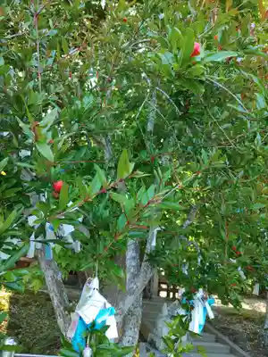 鹿島台神社(宮城県)