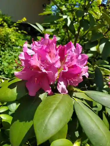 長命寺(福島県)