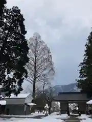 御形神社の建物その他