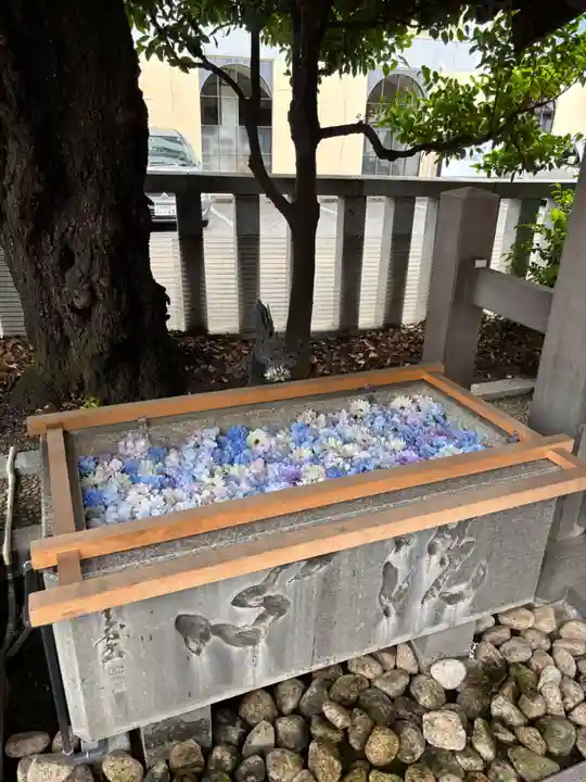 伊勢原大神宮(神奈川県)
