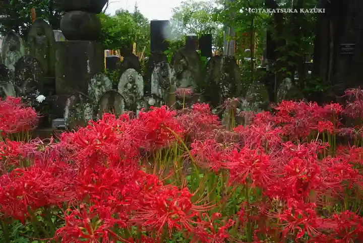 宝蔵院(東京都)