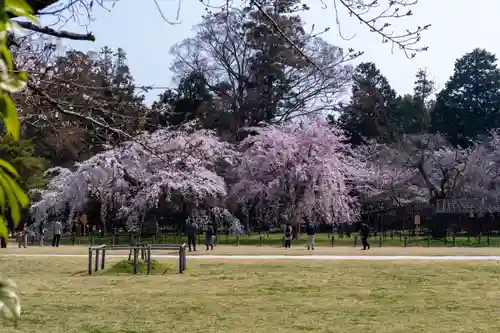 賀茂別雷神社（上賀茂神社）(京都府)