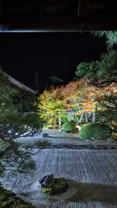 妙顯寺(妙顕寺)(京都府)