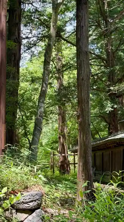 諏訪大社下社春宮(長野県)