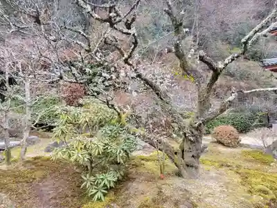 三室戸寺(京都府)