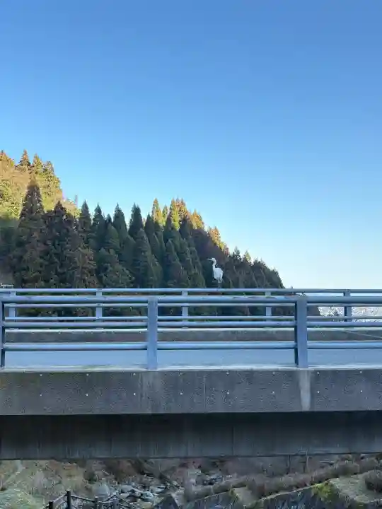 小蔵寺 白糸滝観音の{uncategorized: "未分類", other: "その他", undefined: "問題あり", building: "その他建物", grave: "お墓", sacred_gate: "鳥居", guardian: "狛犬", statue: "像", buddha: "仏像", history: "歴史", nature: "自然", garden: "庭園", animal: "動物", pagoda: "塔", temizu: "手水舎", mountain_gate: "山門・神門", sanctuary: "本殿・本堂", subordinate: "末社・摂社", art: "芸術", scenery: "景色", jizo: "地蔵", ema: "絵馬", goshuin: "御朱印", omikuji: "おみくじ", items: "授与品その他", amulet: "お守り", goshuincho: "御朱印帳", eats: "食事", festival: "お祭り", votive_dance: "神楽", shichigosan: "七五三参", wedding: "結婚式", experience: "体験その他", initially: "初詣", around: "周辺", anti_infection: "感染症対策"}
